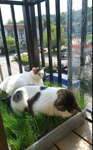 `]@KDMBV4 7B$YN7V39C494