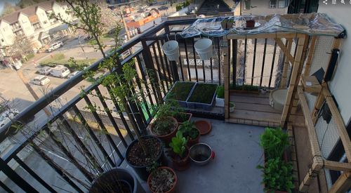 (Q)BVX4)EOD5KV{9%%KAQ`7