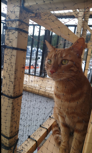 ~SNPCZM%6H0`C~C]A5](D}X