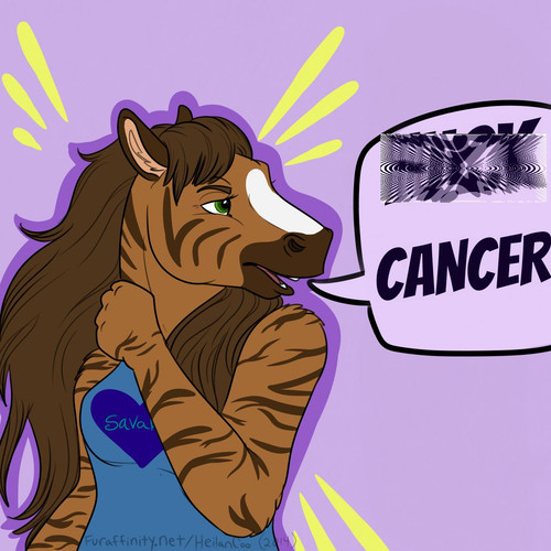 1405829146.heilancoo savannagift 1heilancoo2014b