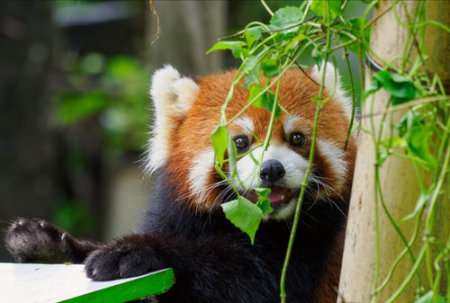 IMG 20250928 010907.jpg