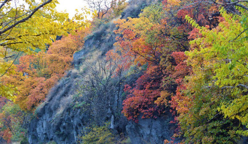 SP78ahXM0Bu8gv7I4YFR2ocG4BpF8aocOHMg6Mcdr4F6Z0fdTxhTQ4JDyV9q7sjW59nkL29dDEaIrEoccSInJuTSNFLGg ayZg5j.jpg