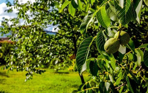 d3YcNYLAHTBv93 WWZabT Y7BlGJyoGqhmS1W0b jg7LyyYotUGRIjlGu2kW5EmIMWrud6znsxm dGSUZF4fhbk6hWfsNIqpKoXp.jpg