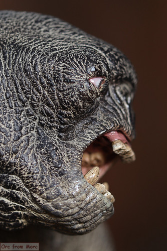 004 The Cave Troll in Moria für FoU.jpg