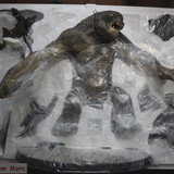 001 The Cave Troll in Moria für FoU