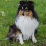 1.PTZ1GraAkd9jujPeAx