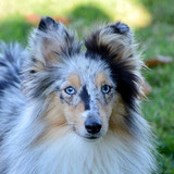 5e0f018c122e3accb7cda48616c60cd6