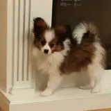 1.rD3jWra1ANSJ8d7et3TgQIf7AtRd8d7eifEC1g