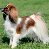 74d484a9b0c4548474615bfe9c470cbd