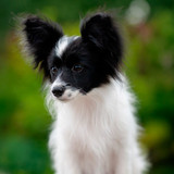 b04fb11a1bbc873558f6dbac97d25a3a base thumb