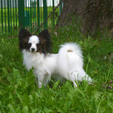 68342403 2972337272991316 2586959308910493696 o