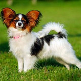 a756120a998358a25a32b9b98db08253