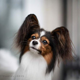 FB IMG 1630951364012