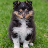 fbe6d2d789afffca8c426485cd3a12ff