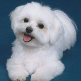 9930443c56156bcde4aa3aede097345f