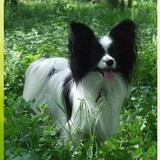 photo.a8f707a889000889 m