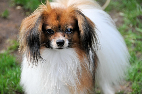 Max Feb 2012 2.jpg