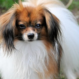 Max Feb 2012 2