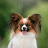 shutterstock 2484385123
