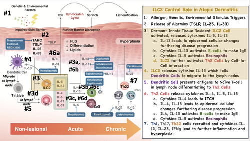 Gchb1FNXkAI1 Ab?format=jpg.jpg