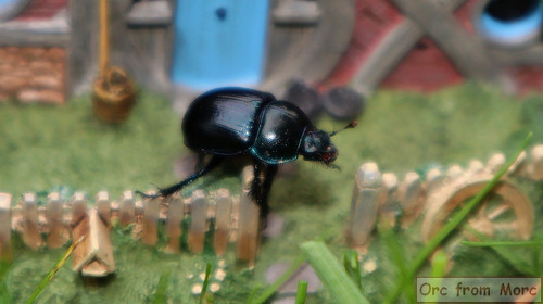 012 #24 Gandalfs Cutting Smial.jpg