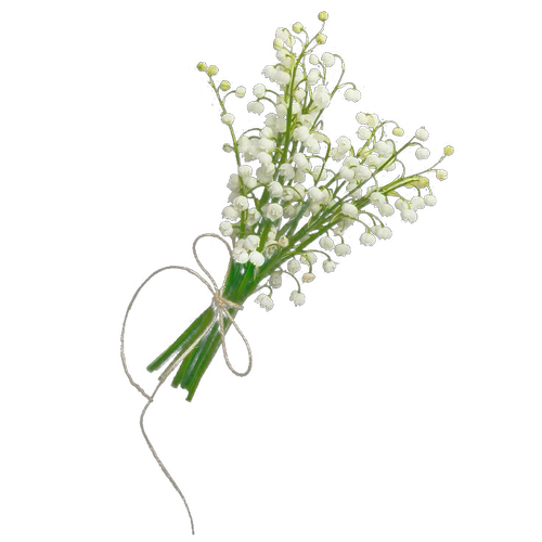 ไม่มีชื่อ 75 20250928045843.png