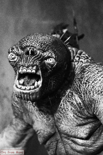 023 The Cave Troll in Moria für FoU.jpg