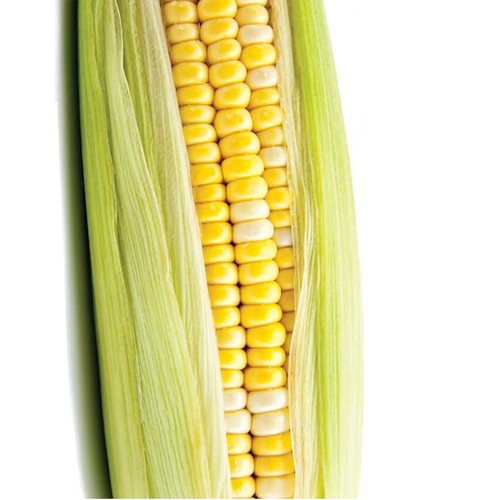 mErG6JB.jpg
