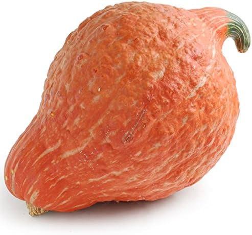51+YyTynERL. AC .jpg