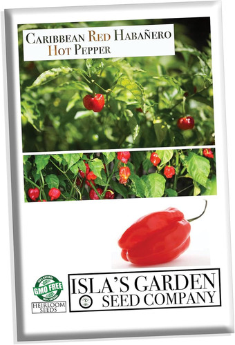 71JZGni5lAL. AC SL1500 .jpg