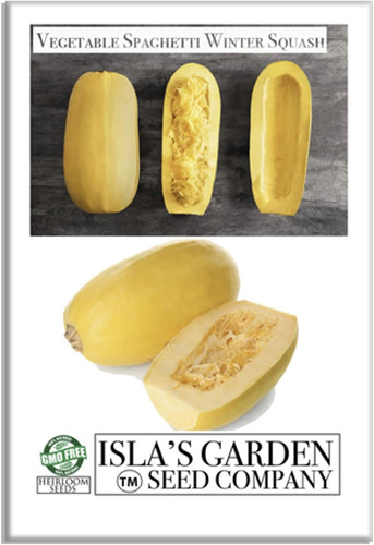 61jiC 6Sg2L. AC SL1500 .jpg