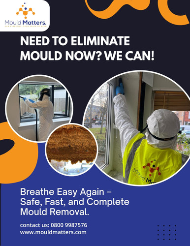 Say Goodbye to Mould – Professional Removal for a Healthier Home..jpg