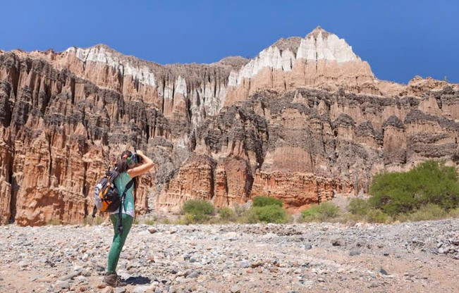 Travel Sale 2025: impulso federal y demanda récord