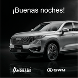 GWM GN