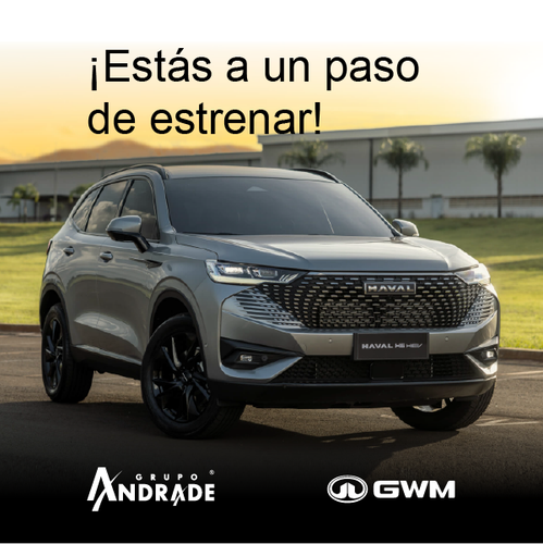 GWM C1.png