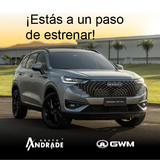 GWM C1