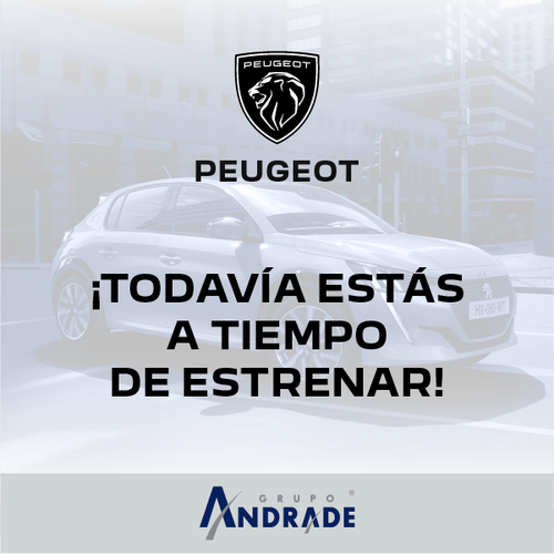 Peugeot C3.png