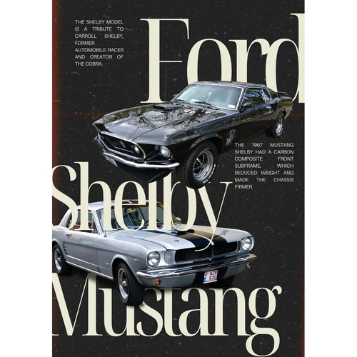 WhatsAppImage2025 07 14at17.29.24 dd101345 result.jpg