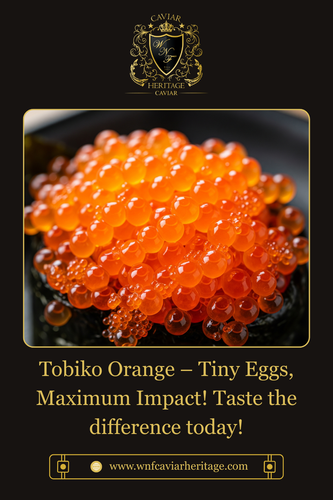 Tobiko Orange – Tiny Eggs, Maximum Impact! Taste the difference today!.png