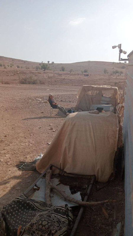 عربدة متواصلة ويومية .. قطعان المستوطنين يقتحمون منطقة شلال العوجا شمال مدينة أريحا ويطلقون مواشيهم بين مساكن الأهالي....