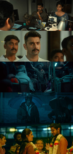 InCollage 20250826 233711877.jpg