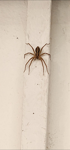 Screenshot 20250827 170857 Gallery.jpg