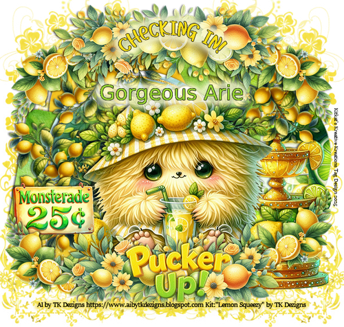 rgeousAriePuckerUpChkInKK36TKD vi