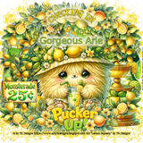 rgeousAriePuckerUpChkInKK36TKD vi