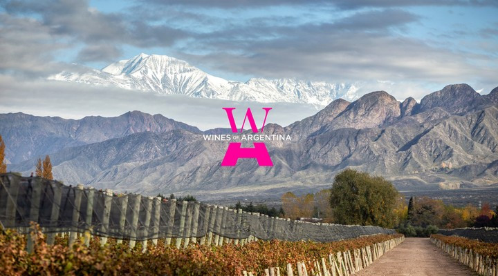 Wines of Argentina.jpg Informe 2025: brecha de género en el sector vitivinícola