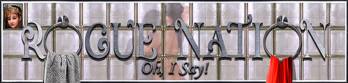 Shower Banner.jpg