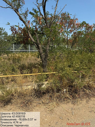 photo 3 2025 08 27 16 45 37.jpg