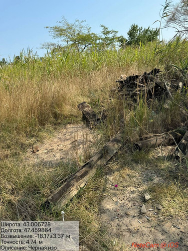 photo 6 2025 08 27 16 45 37.jpg