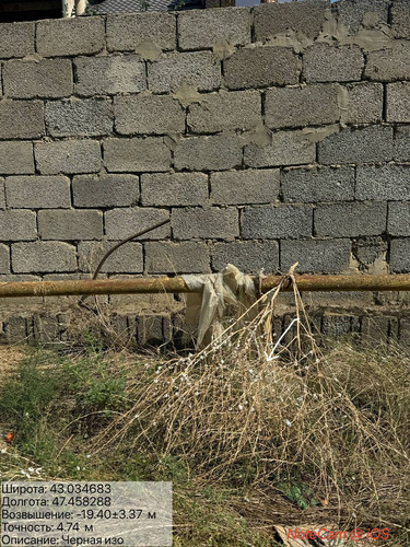 photo 35 2025 08 27 16 45 37.jpg