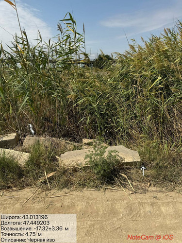 photo 10 2025 08 27 16 45 37.jpg